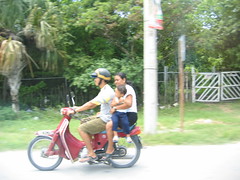 family on moped