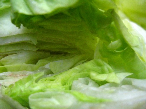 Intimate lettuce 3