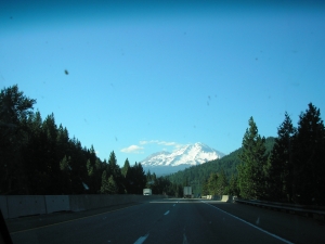 Mount Shasta from the North