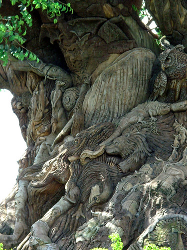 animal kingdom tree close up