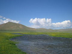 Typical Mongolian scenery