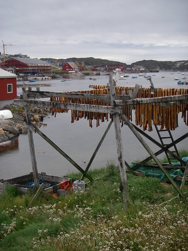 Qeqertarsuaq, harbour and stick fish frame