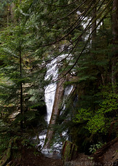 A medium waterfall on Creek 22