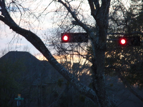 January 29 2011 009 Trees and Stoplights
