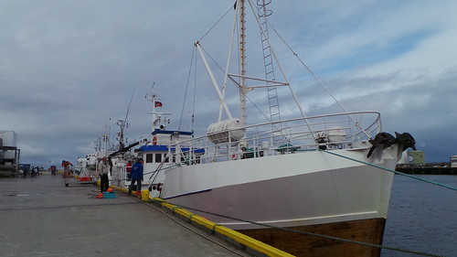 2013-0721 783 Andenes Walvissafariboot