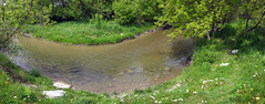 Bowmanville Creek bend