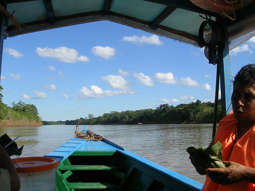 Cruise Down The Amazon for a few Hours, - Near Puerto Maldonado
