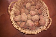 Portelas Potatoes