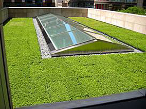 chicago mac apple store green roof