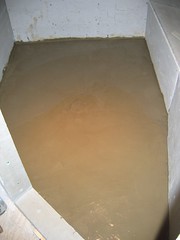 The shower floor