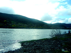 Río Claro (2) , VII Región Chile