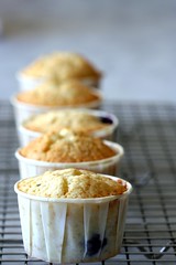 cooling cupcakes