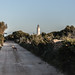 Formentera - Formentera12 114