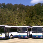 School Bus Charters