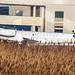 Ibiza - Embraer ERJ- 135 BJ   ---- Luxaviation