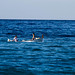 Ibiza - Navegando entre olas