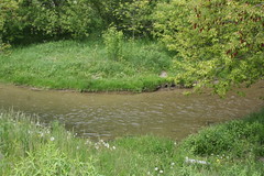 Bowmanville Creek bend tighter angle