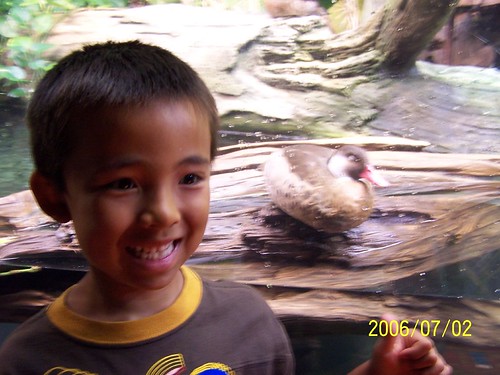Benjamin at Shedd with the duck