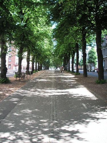 The sun through an alley of trees on Vasagatan