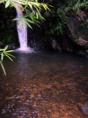 Nakon Nayok Waterfall