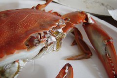 my crab