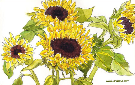 sun flower cartoons, sun flower cartoon, sun flower picture,