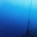 Ibiza - Ibiza underwater
