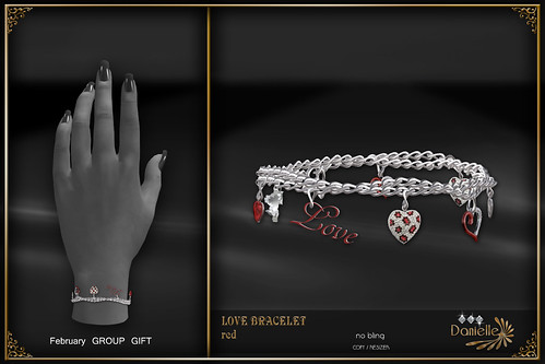 DANIELLE Group Gift Feb 2014 Love Bracelet