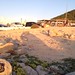 Ibiza - ribu auf ibiza