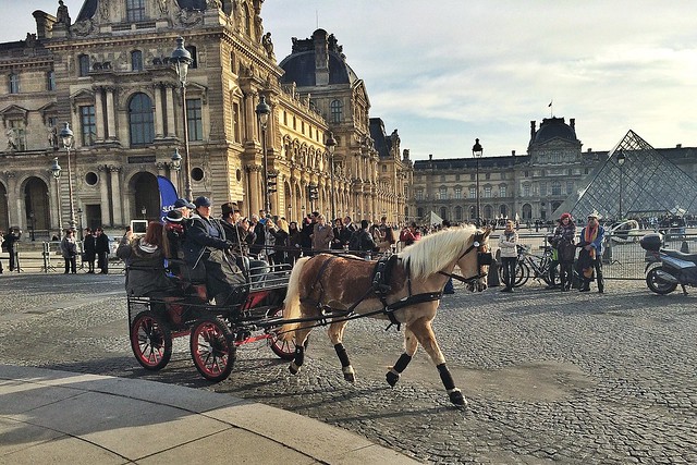 Horses carriages at the Louvre