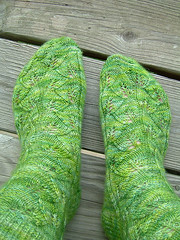 Finished Embossed Leaves socks
