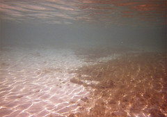 Underwater, Serenity Beach, Castaway Cay, Bahamas