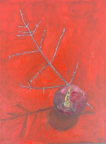 pomegranate with twig