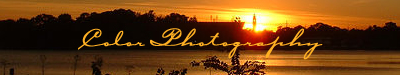 Color Photography Banner