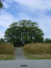 steps to mound