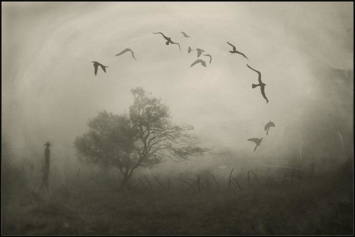 Autumnal Mist by Floriana Barbu