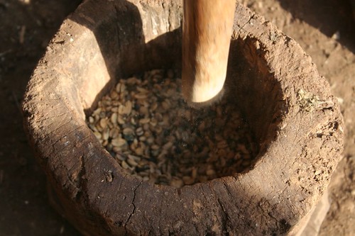 Grinding fresh coffee beans, Datanli Diablo Reserve