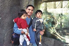 Tres Lorenzos y el tigre, Sacramento Zoo