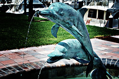 Dolphin Sculpture lomo 1