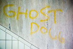 Ghost dogg