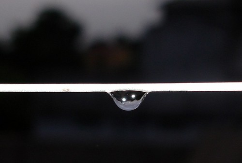 A Drop of Water on the string