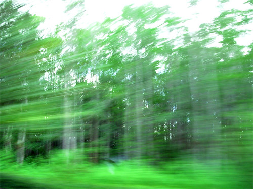 orlando as blur of green
