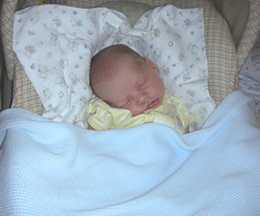 Matthew 3 1/2 weeks - sleeping in his carseat.  8/13/06.