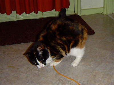 Natasha speelt met touwtje