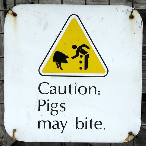 Pigs May Bite