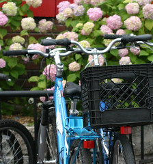 Biking Around Provincetown