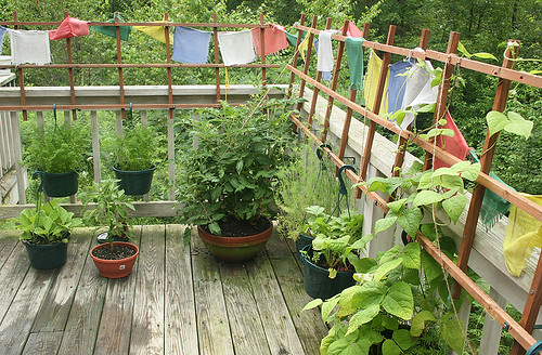 Deck Garden 7-22-06