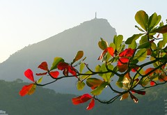 Outono no Rio