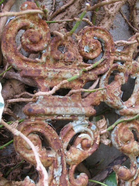 rusted Victorian ironwork