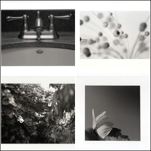B&W assignments